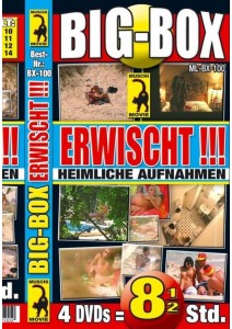 BOX Big-Box Erwischt - heimliche Aufnahmen 4DVDs